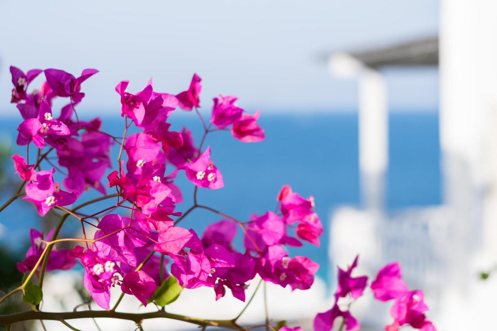 With-Inn Mykonos Suites Tourlos Buitenkant foto